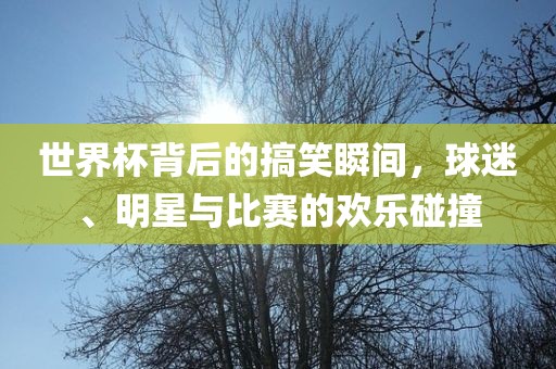 世界杯背后的搞笑瞬间，球迷、明星与比赛的欢乐碰撞