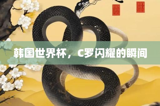 韩国世界杯,C罗闪耀的瞬间