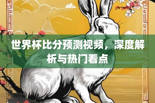 世界杯比分预测视频,深度解析与热门看点