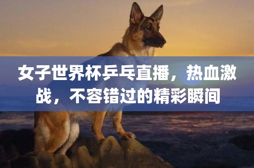 女子世界杯乒乓直播，热血激战，不容错过的精彩瞬间