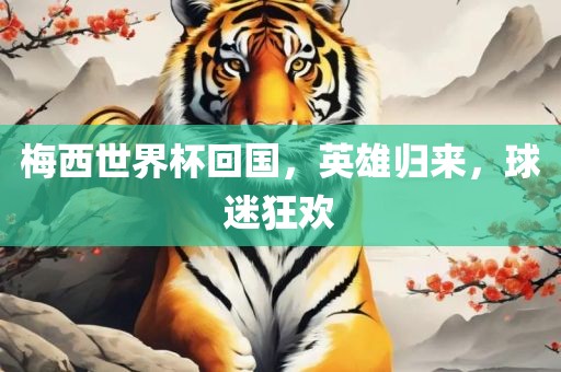 梅西世界杯回国，英雄归来，球迷狂欢