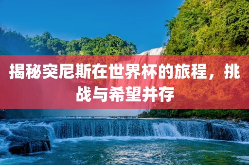 揭秘突尼斯在世界杯的旅程，挑战与希望并存