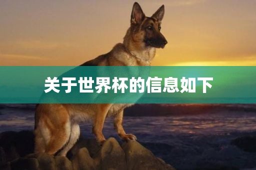 关于世界杯的信息如下