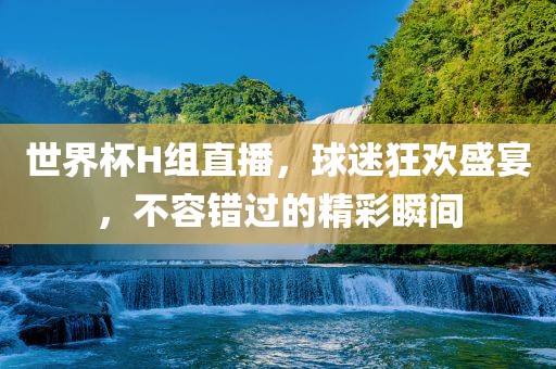 世界杯H组直播,球迷狂欢盛宴,不容错过的精彩瞬间