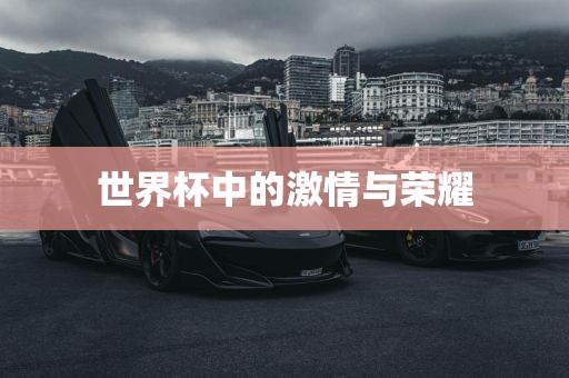 世界杯中的激情与荣耀