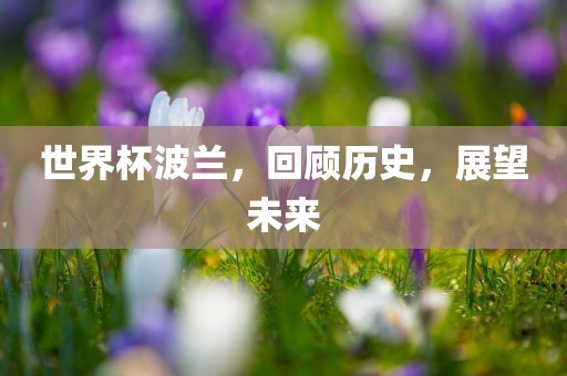 世界杯波兰，回顾历史，展望未来