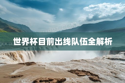 世界杯目前出线队伍全解析