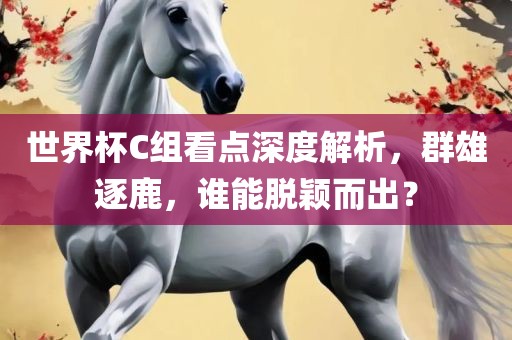 世界杯C组看点深度解析,群雄逐鹿,谁能脱颖而出?