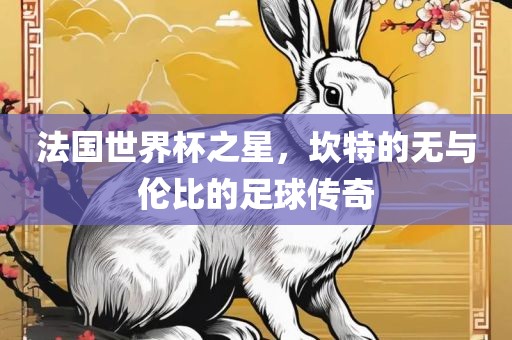 法国世界杯之星，坎特的无与伦比的足球传奇