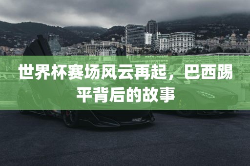 世界杯赛场风云再起,巴西踢平背后的故事广州熙林手袋有限公司