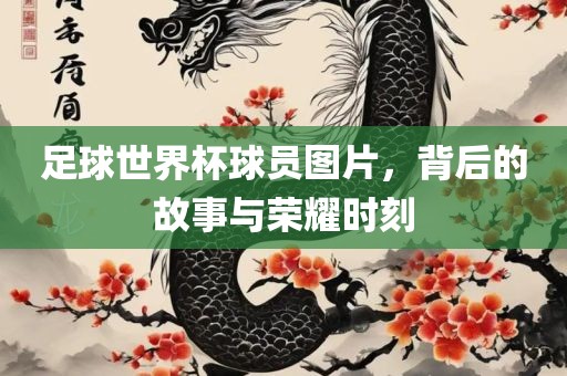 足球世界杯球员图片，背后的故事与荣耀时刻广州熙林手袋有限公司