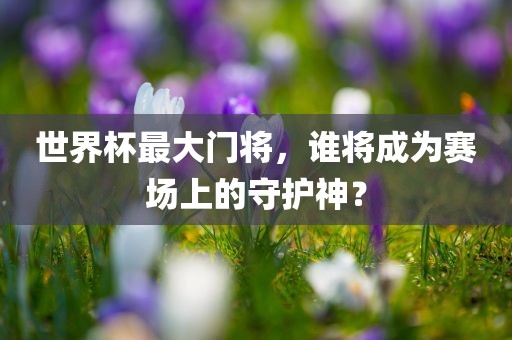 世界杯最大门将，谁将成为赛场上的守护神？