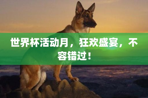 世界杯活动月，狂欢盛宴，不容错过！