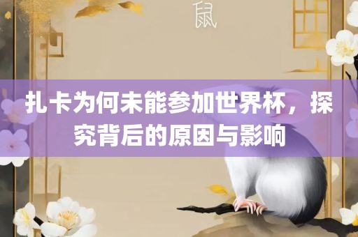 扎卡为何未能参加世界杯,探究背后的原因与影响