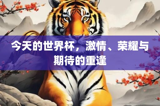 今天的世界杯，激情、荣耀与期待的重逢