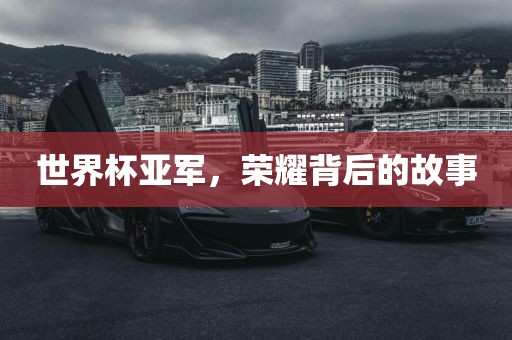 世界杯亚军,荣耀背后的故事