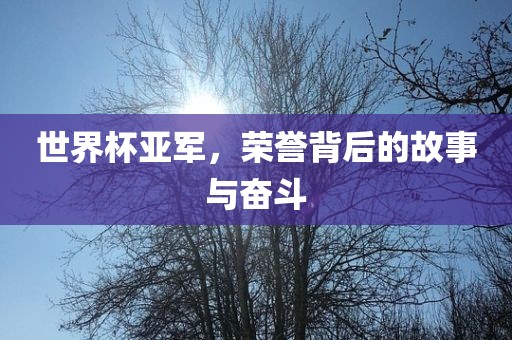 世界杯亚军,荣誉背后的故事与奋斗