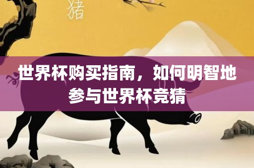 世界杯购买指南,如何明智地参与世界杯竞猜