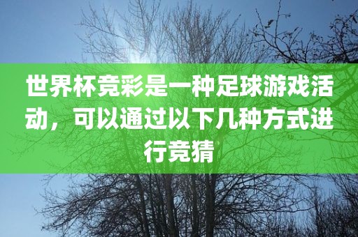 世界杯竞彩是一种足球游戏活动,可以通过以下几种方式进行竞猜