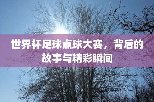 世界杯足球点球大赛，背后的故事与精彩瞬间