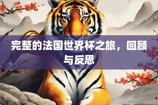 完整的法国世界杯之旅,回顾与反思