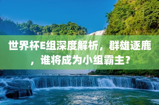 世界杯E组深度解析，群雄逐鹿，谁将成为小组霸主？