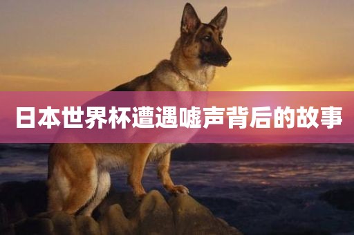 日本世界杯遭遇嘘声背后的故事