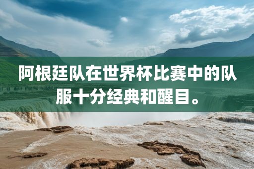 阿根廷队在世界杯比赛中的队服十分经典和醒目。