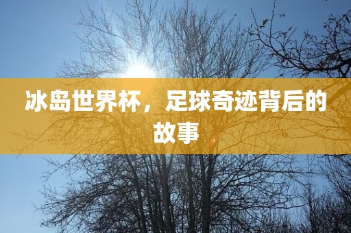 冰岛世界杯，足球奇迹背后的故事