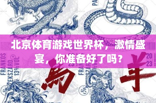 北京体育游戏世界杯,激情盛宴,你准备好了吗?