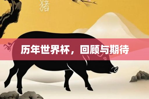 历年世界杯，回顾与期待