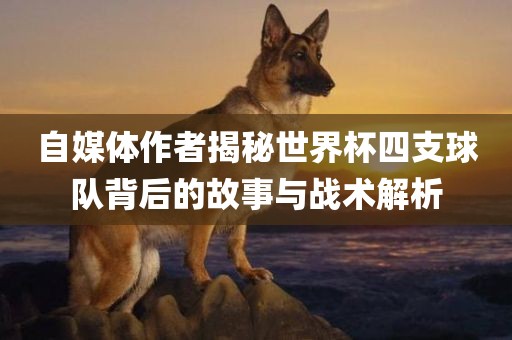 自媒体作者揭秘世界杯四支球队背后的故事与战术解析