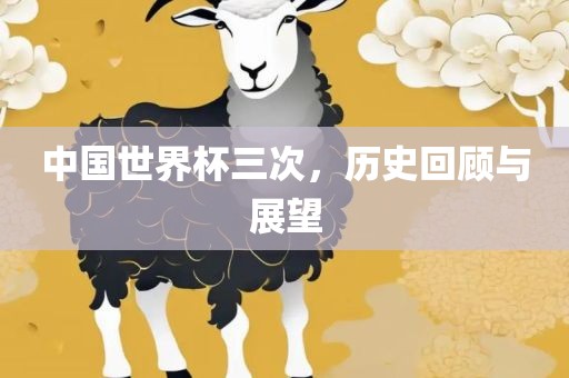 中国世界杯三次,历史回顾与展望