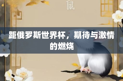 距俄罗斯世界杯,期待与激情的燃烧