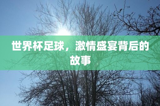世界杯足球广州熙林手袋有限公司,激情盛宴背后的故事