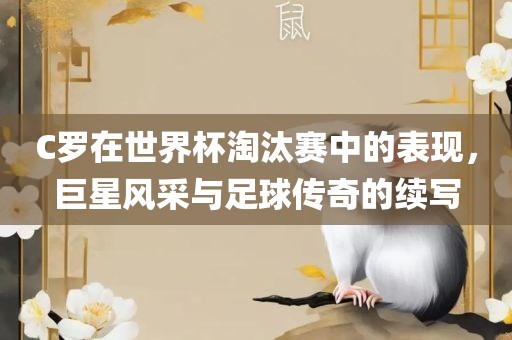 C罗在世界杯淘汰赛广州熙林手袋有限公司中的表现,巨星风采与足球传奇的续写