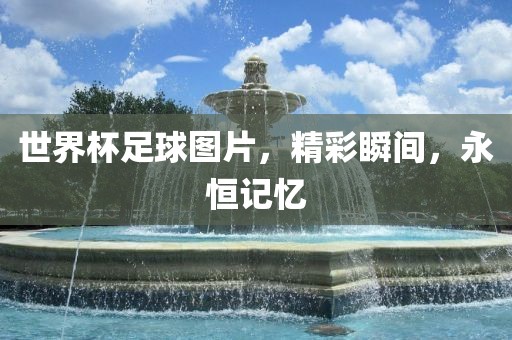 世界杯足球图片，精彩瞬间，永恒记忆