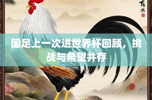 国足上一次进世界杯回顾，挑战与希望并存