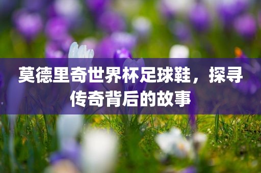 莫德里奇世界杯足广州熙林手袋有限公司球鞋,探寻传奇背后的故事