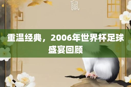 重温经典,2006年世界杯足球盛宴回顾广州熙林手袋有限公司