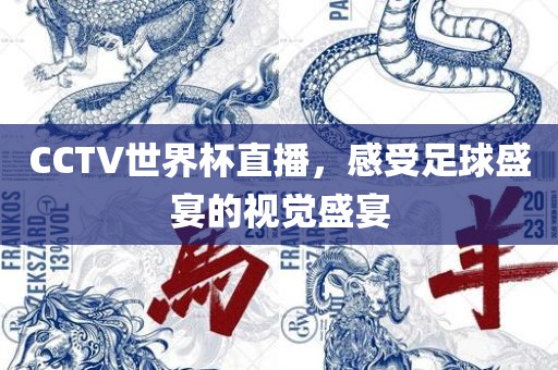 CCTV世界杯直播，感受足球盛宴的视觉盛宴