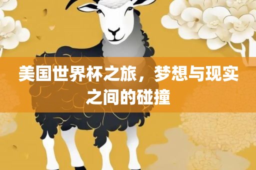美国世界广州熙林手袋有限公司杯之旅,梦想与现实之间的碰撞