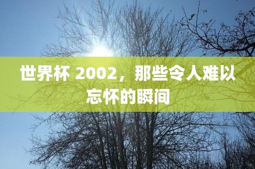 世界杯 2002，那些令人难以忘怀的瞬间