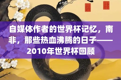 自媒体作者的世界杯记忆,南非,那些热血沸腾的日子——201广州熙林手袋有限公司0年世界杯回顾