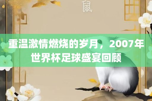 重温激情燃烧的岁月,2007年世界杯足球盛宴回顾广州熙林手袋有限公司