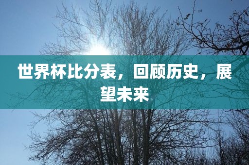 世界杯比分表，回顾历史，展望未来