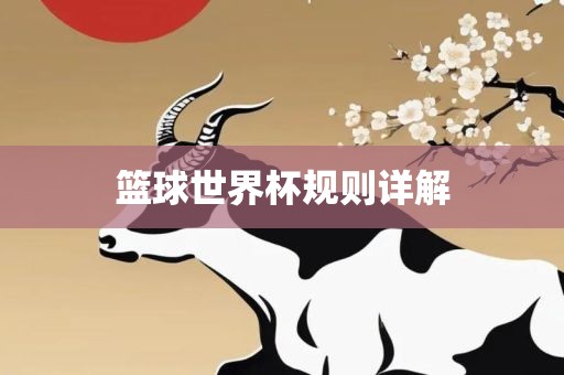 篮球世界杯规则详解