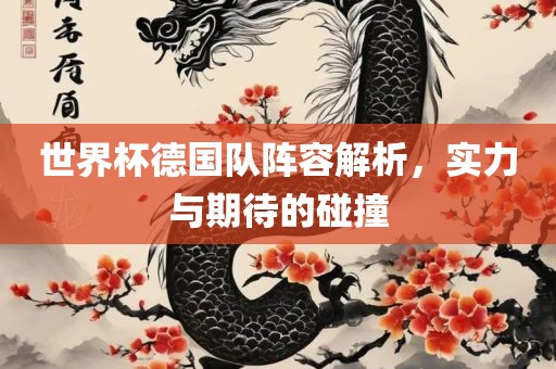 世界杯德国队阵容解析,实力与期待的碰撞