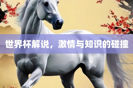 世界杯解说,激情与知识的碰撞