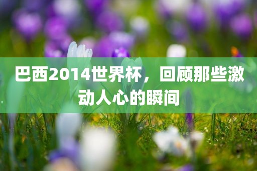 巴西2014世界杯,回顾那些激动人心的瞬间